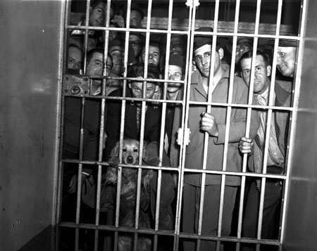 Mass Arrest Shocks Rochester: 208 Workers and a Dog Detained!
