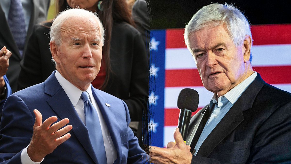 Newt Gingrich Exposes Shocking Biden Cover-Up: Law Abuse Revealed!