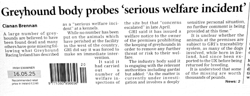 Outrage in Ireland: Greyhounds Found Dead Amid Welfare Crisis!