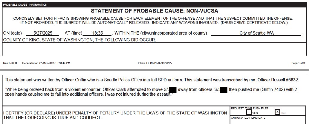 Seattle Activists Arrested: No Charges Yet Despite Assault Claims!