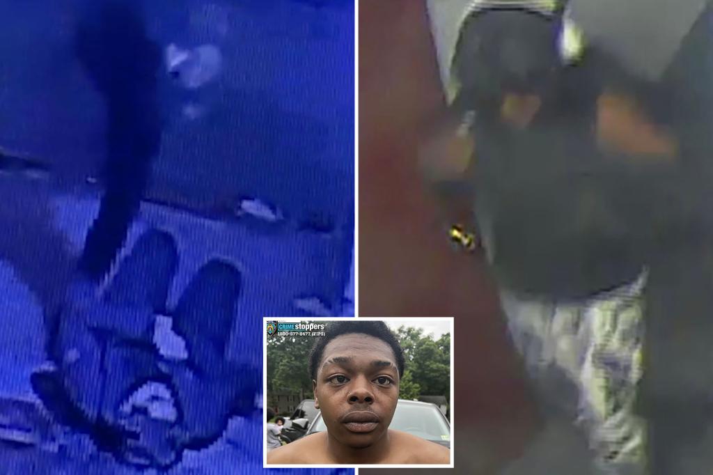 Second Suspect Uncovered in Shocking Bronx Cop Beating Case!