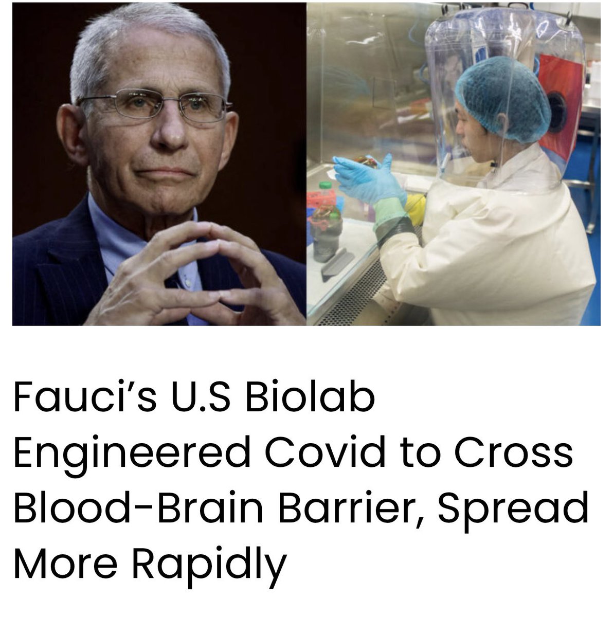 Shocking Claims: Fauci’s Lab Linked to Engineered COVID-19!