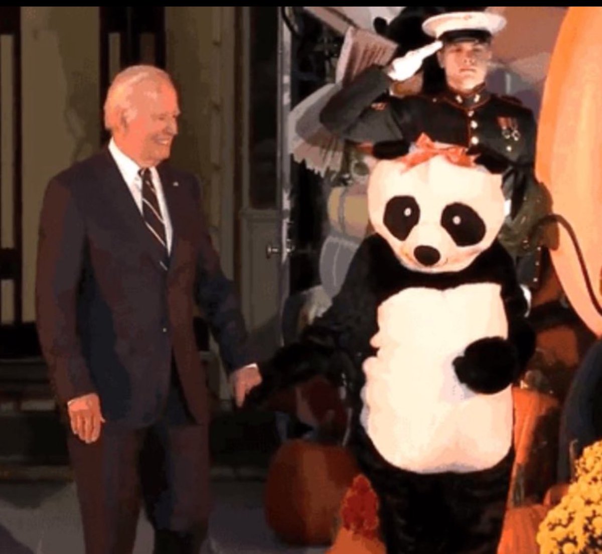 Shocking Footage: Biden Sniffs, Bites, and Licks Kids!  
Jill Biden Dressed as Panda During Disturbing Incident
