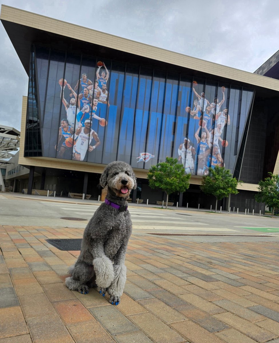 Therapy Dog Sophia Rose Sparks Debate with Thunder Blue Nails!