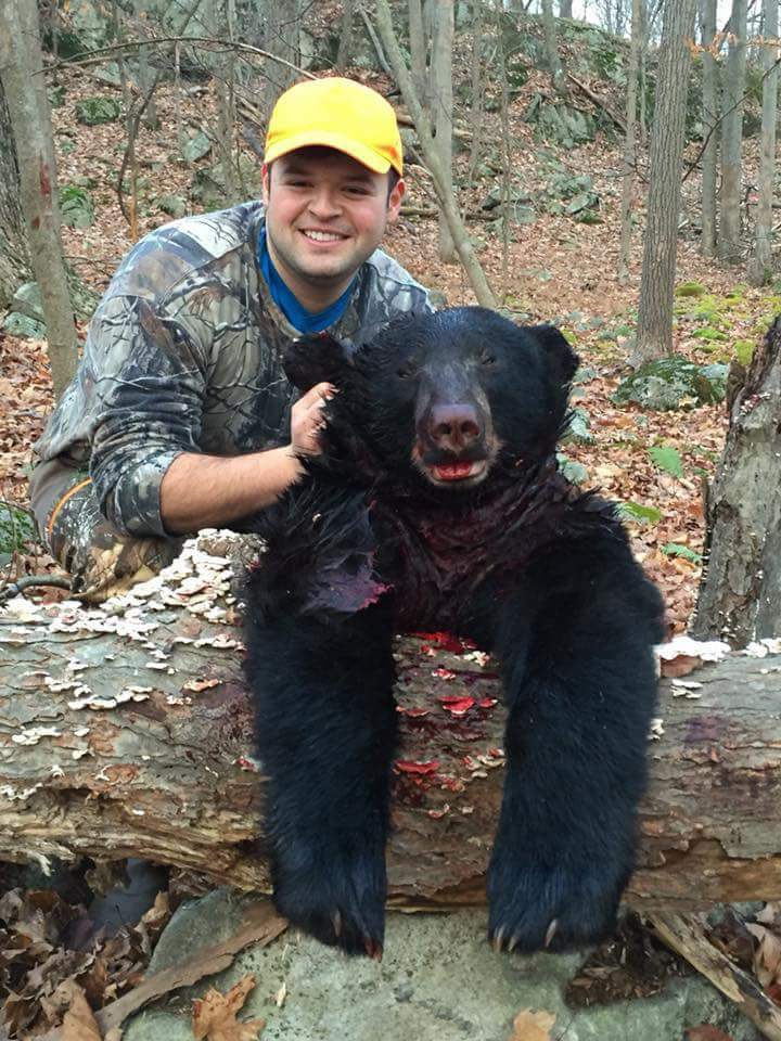 Trophy Hunter's Cowardice: Killing Hibernating Bear Sparks Outrage