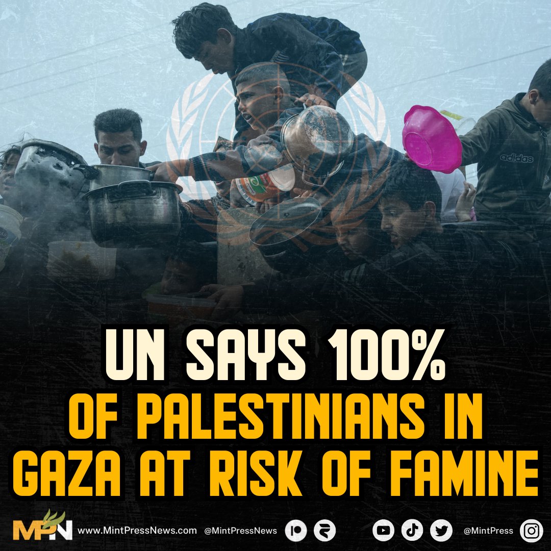 UN Declares Gaza's Entire Population Facing Imminent Famine Crisis!