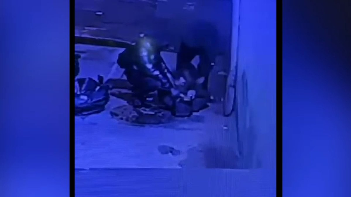 Virginia Suspect Arrested in Shocking Bronx Attack on NYPD Officer!