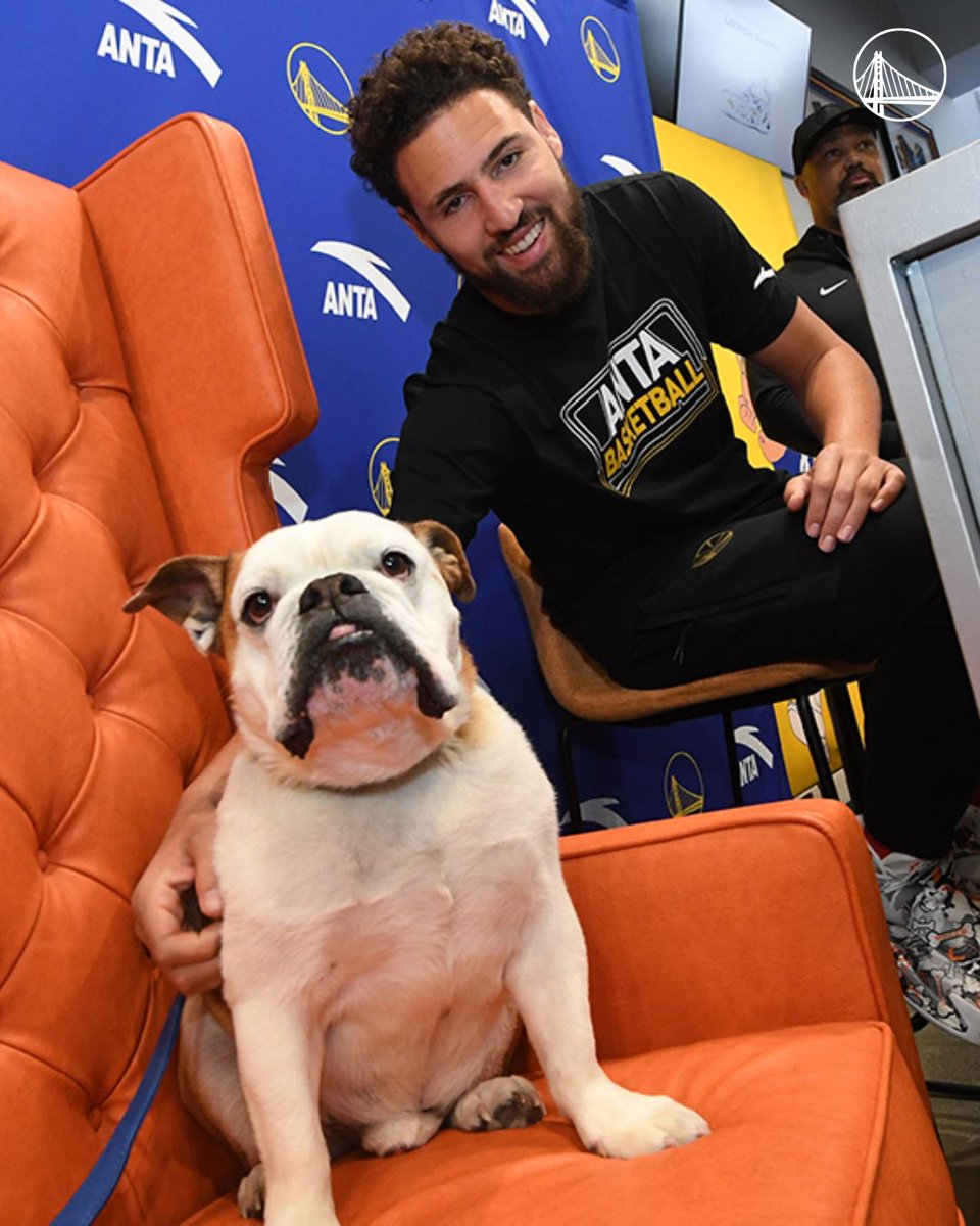 Warriors Family Mourns: Shocking Loss of Beloved Mascot Rocco 💔