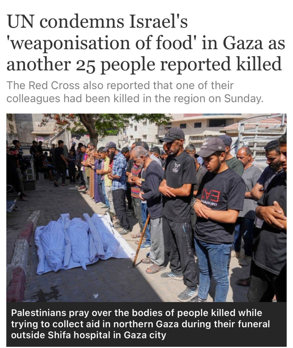 25 Starving for Flour Shot Dead: Israel's Genocidal Actions Exposed!