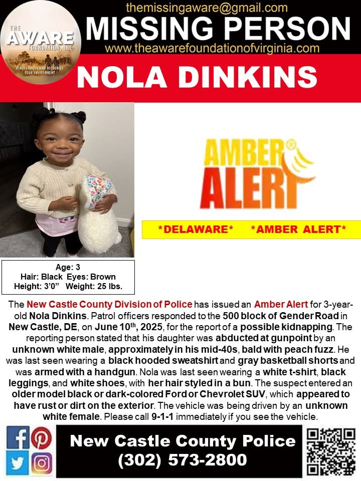 Amber Alert Shocks New Castle: 3-Year-Old Nola Dinkins Missing!