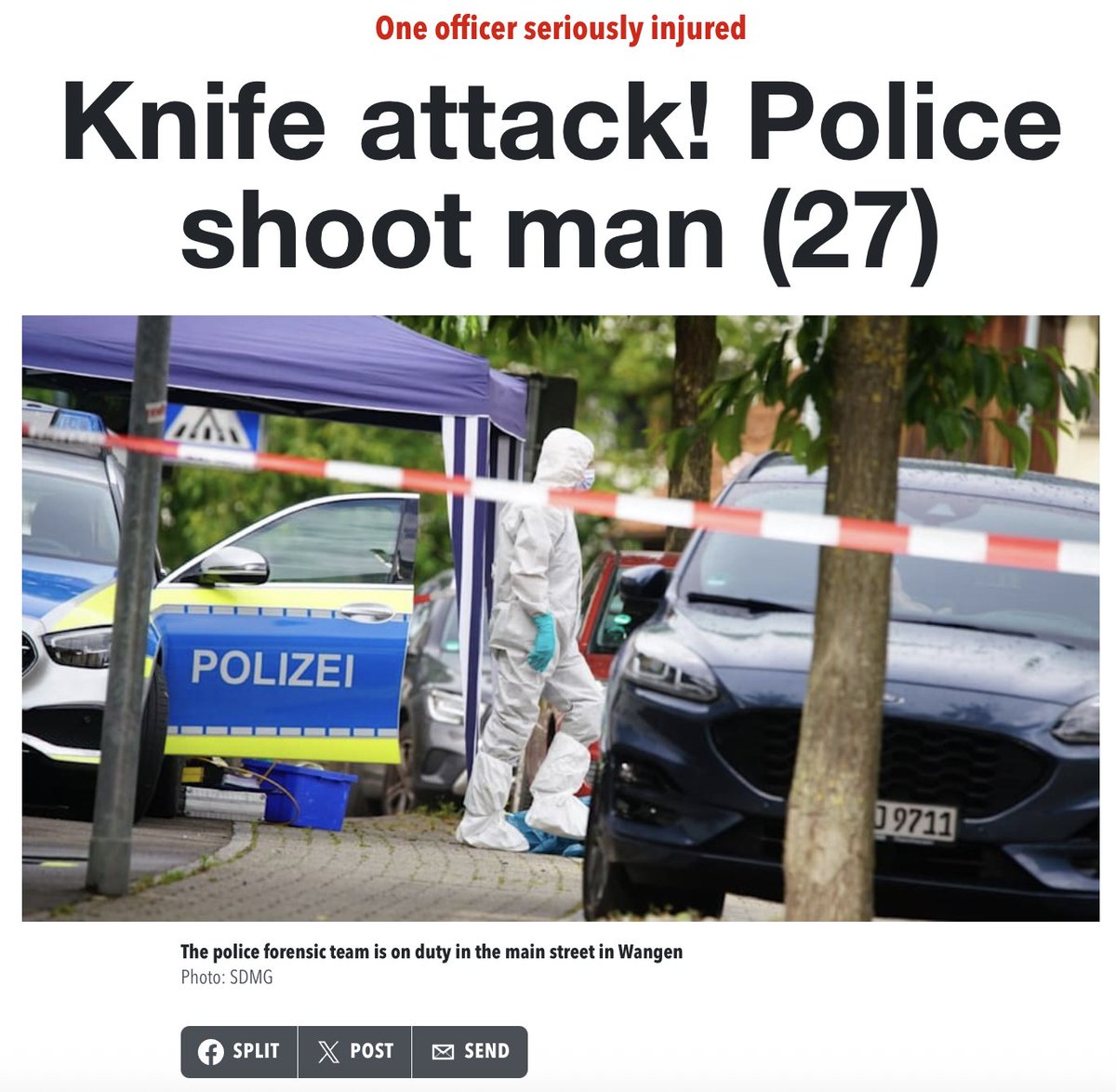 BREAKING: Afghan Migrant Stabs Cop, Shot Dead in Wangen
