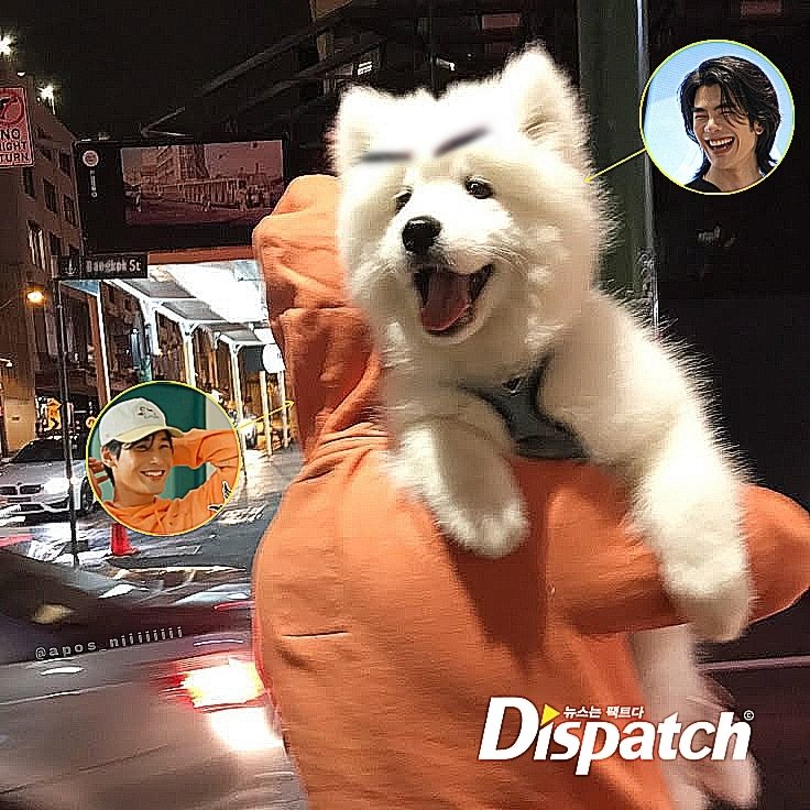 BREAKING: Apo's Midnight Date with Adorable Pup Sparks Outrage!