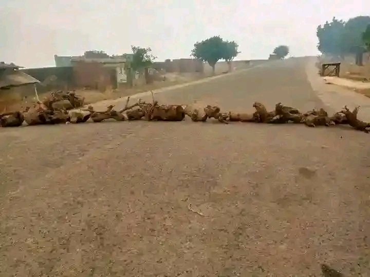 BREAKING: Banditry Surge Closes Major Road, 4 Shot, Many Abducted!