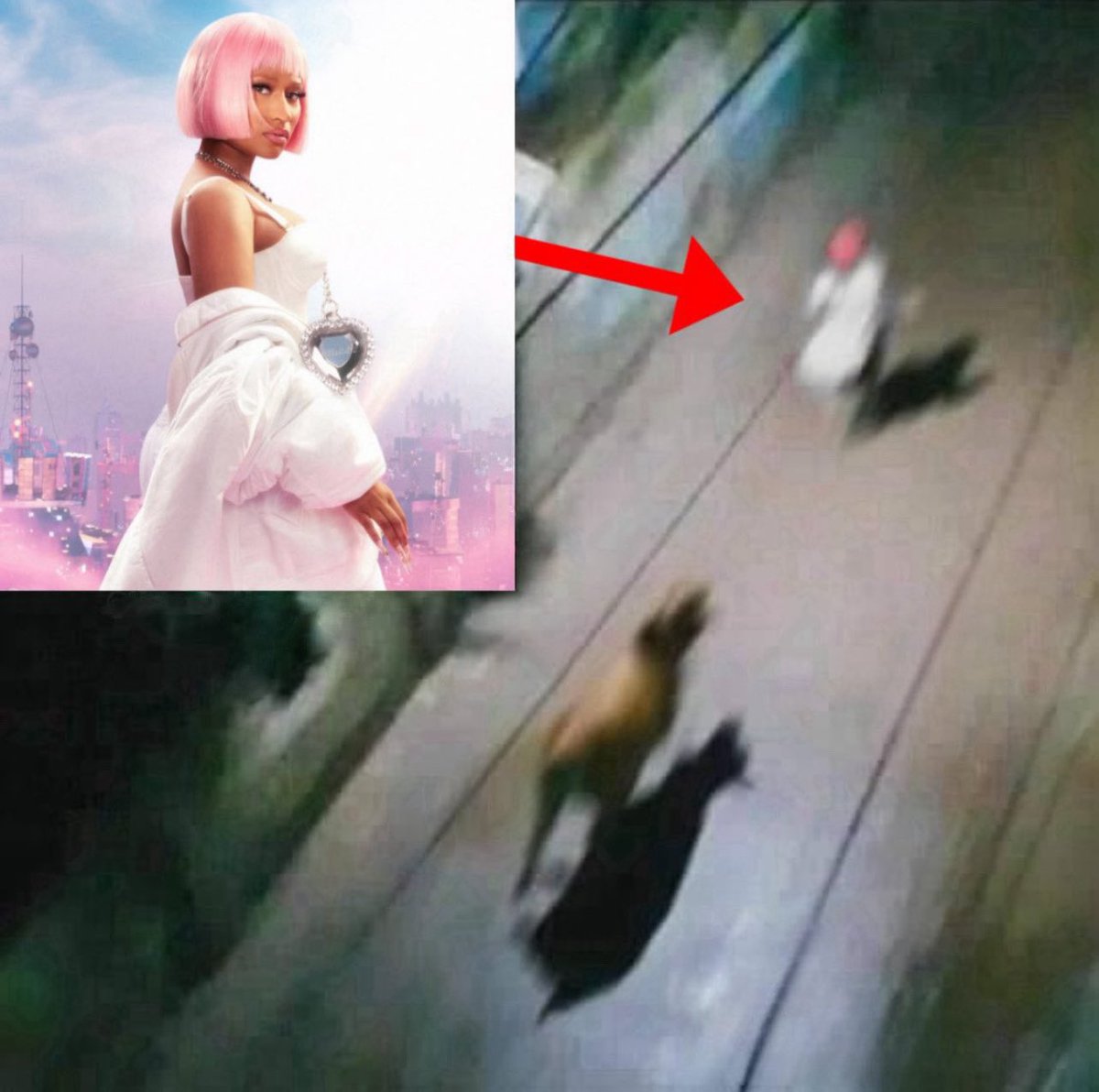 🚨 BREAKING: Nicki Minaj Chased by Camel After Studio Session!