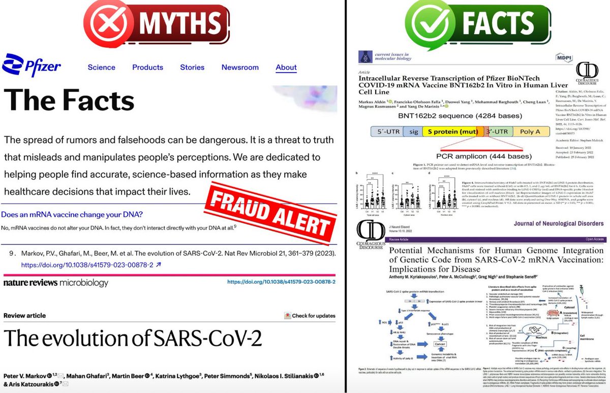 BREAKING: Pfizer BUSTED for Misleading Evidence on C-19 Risks!