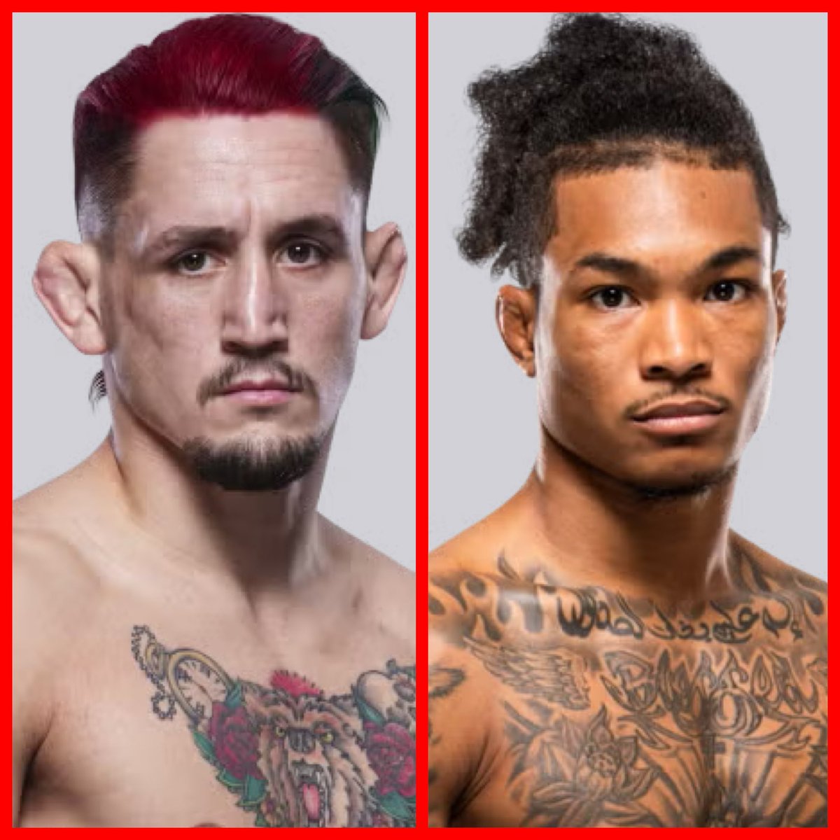 🚨Breaking🚨 Kris Moutinho Returns to Face Wellmaker in UFC Shocker!