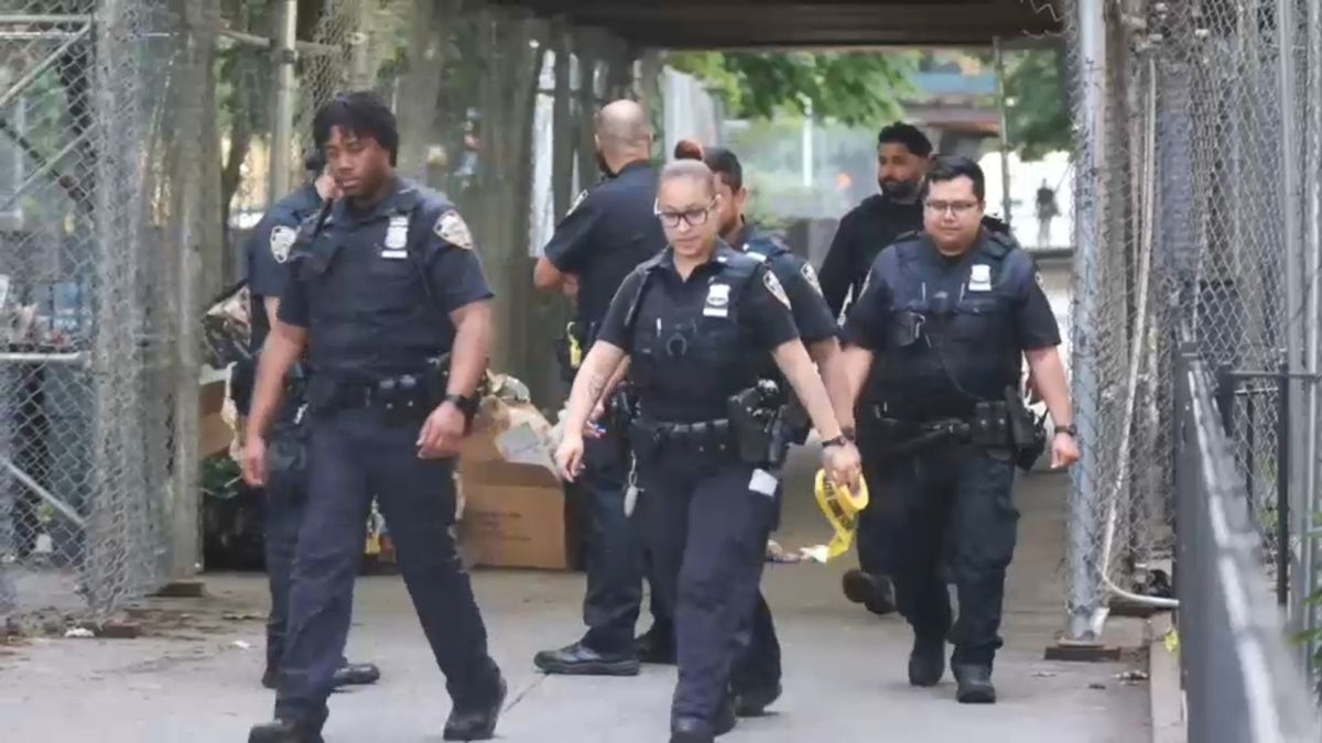 Bronx Shock: 14-Year-Old Girl Shot in Face, Police Hunt Suspect