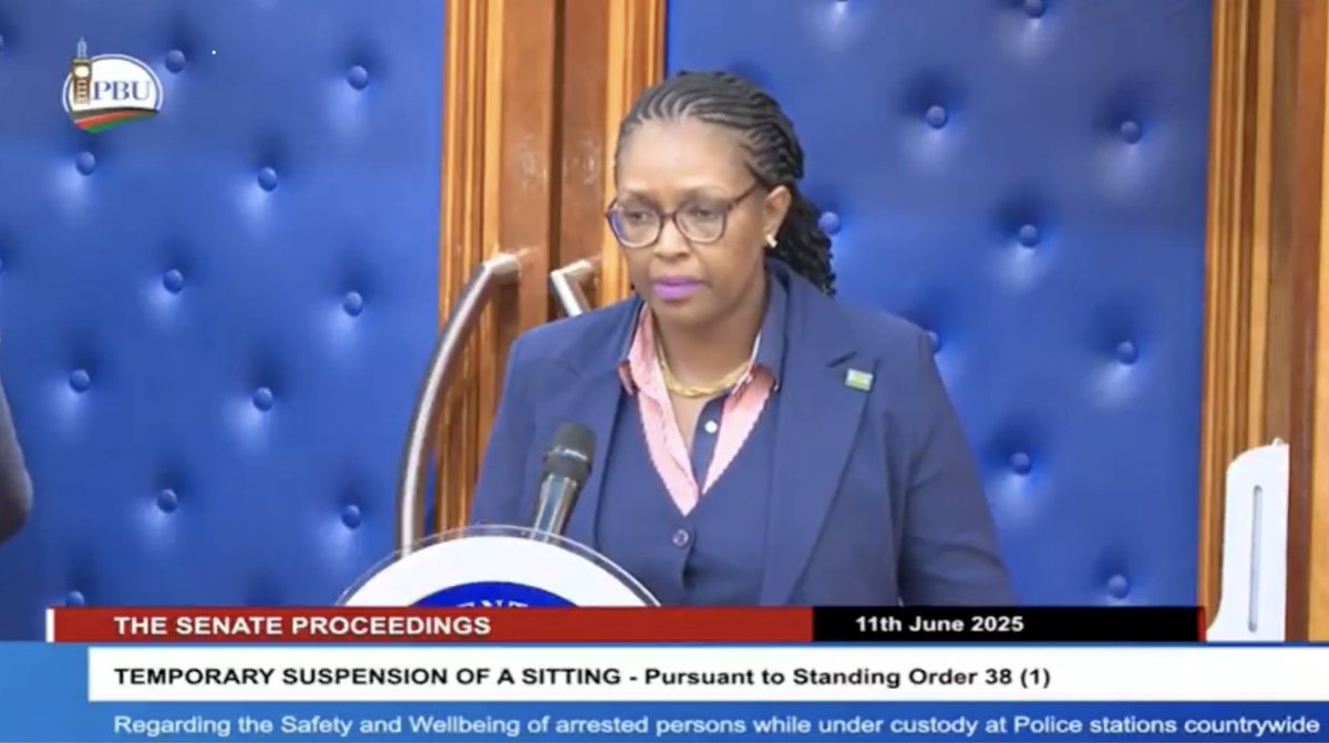 CCTV Interference in Police Station Reveals Shocking Findings in Custody Death  
IPOA Vice Chair Stuns Senate with Albert Ojwang Case Revelations