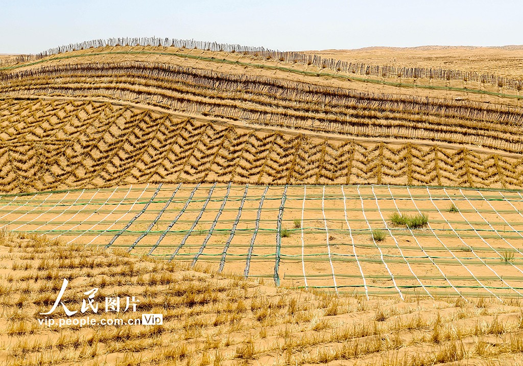China's "Green Great Wall": Environmental Savior or Ecological Disaster?