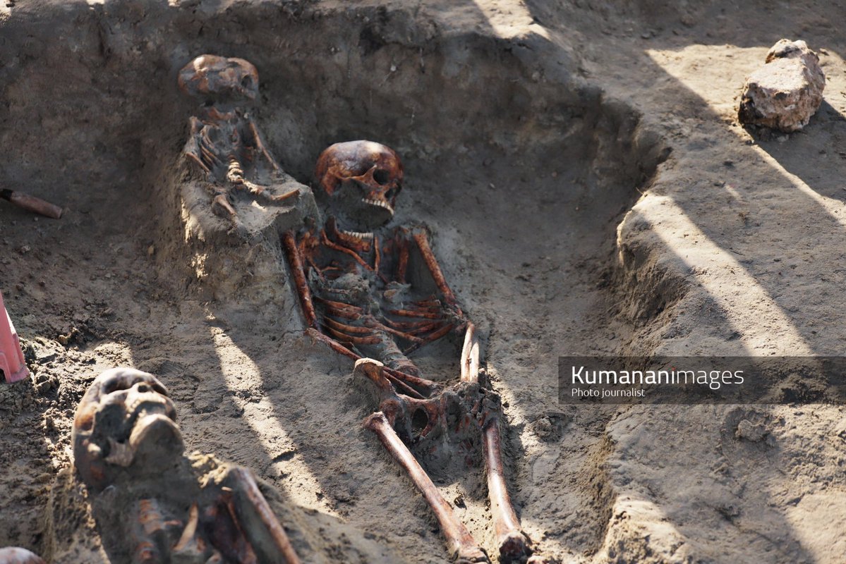 Controversy Erupts: 19 Skeletons Found in Chemmani Excavation!
