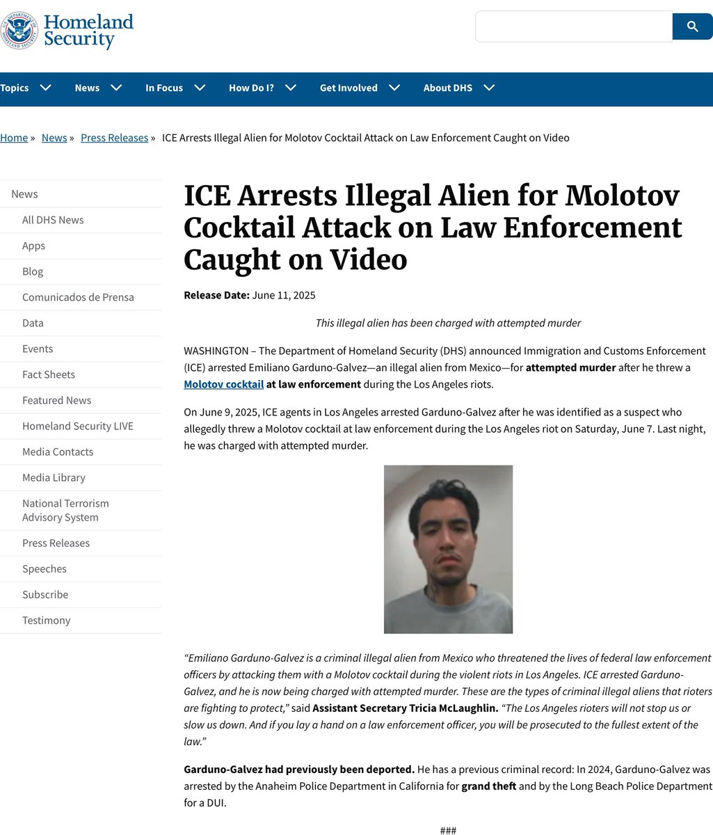 Deported Immigrant Attacks Cops During LA Riots: Shocking Truth!