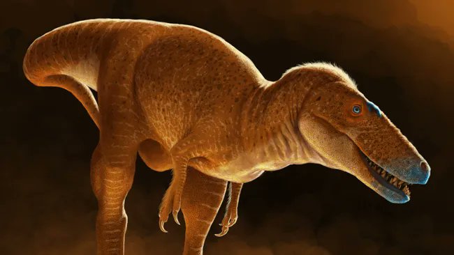 “Dragon Prince” Dinosaur Discovery Shakes Up Paleontology World!