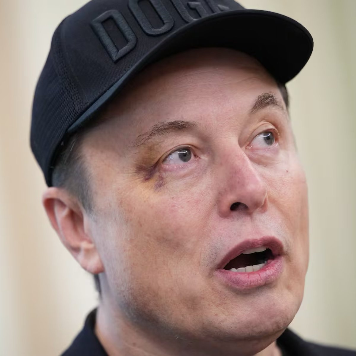 Elon Musk and Treasury Secretary Bessent Brawl at White House!