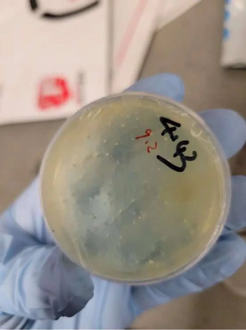 FBI Arrests Chinese Ph.D. Student for Smuggling Biological Materials!