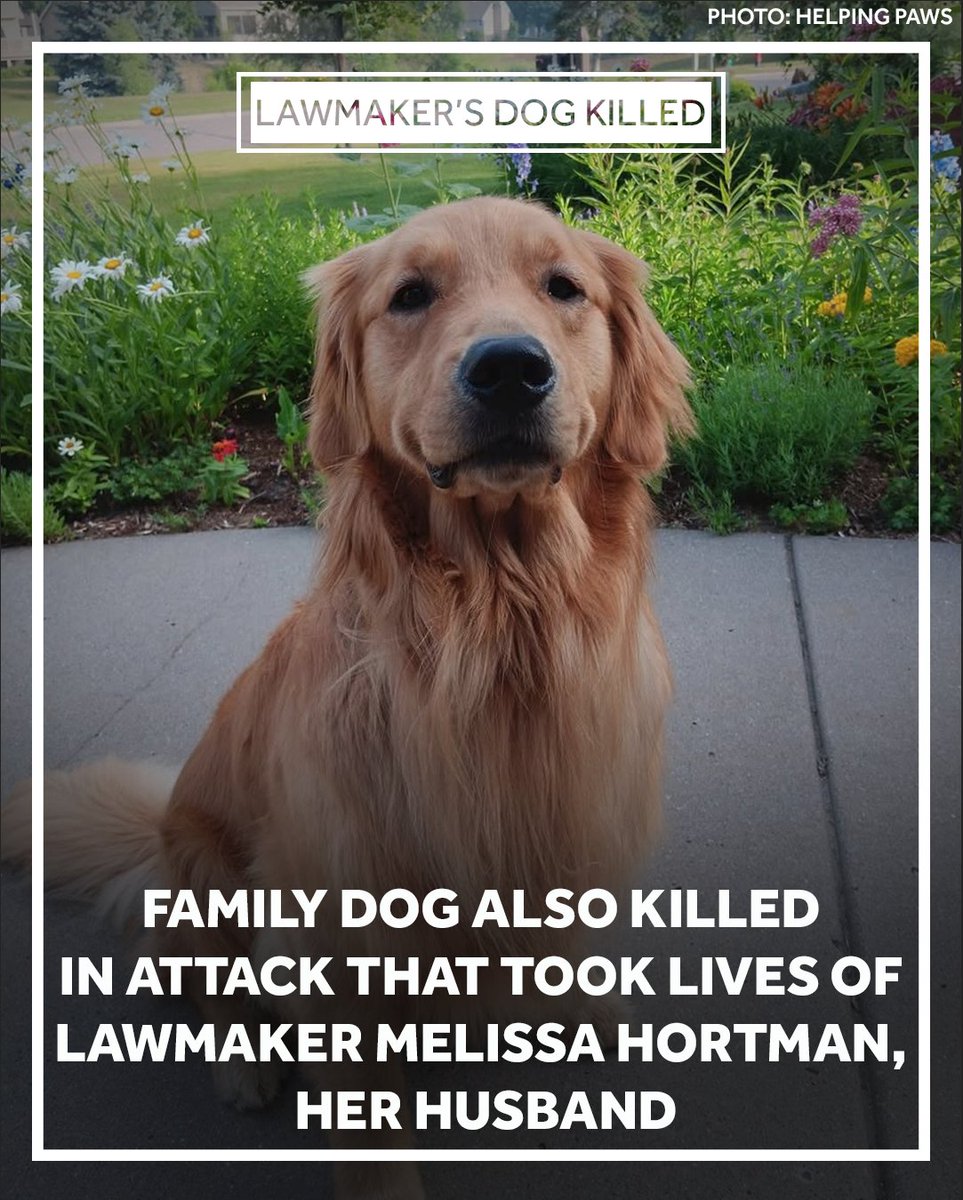Family Dog's Death After Attack on Lawmaker Ignites Outrage in Minnesota