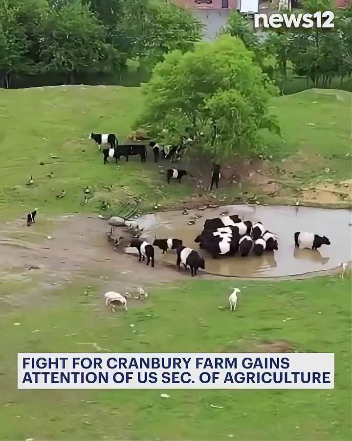 Family Farm Threatened: Government's Bold Move Sparks Outrage!