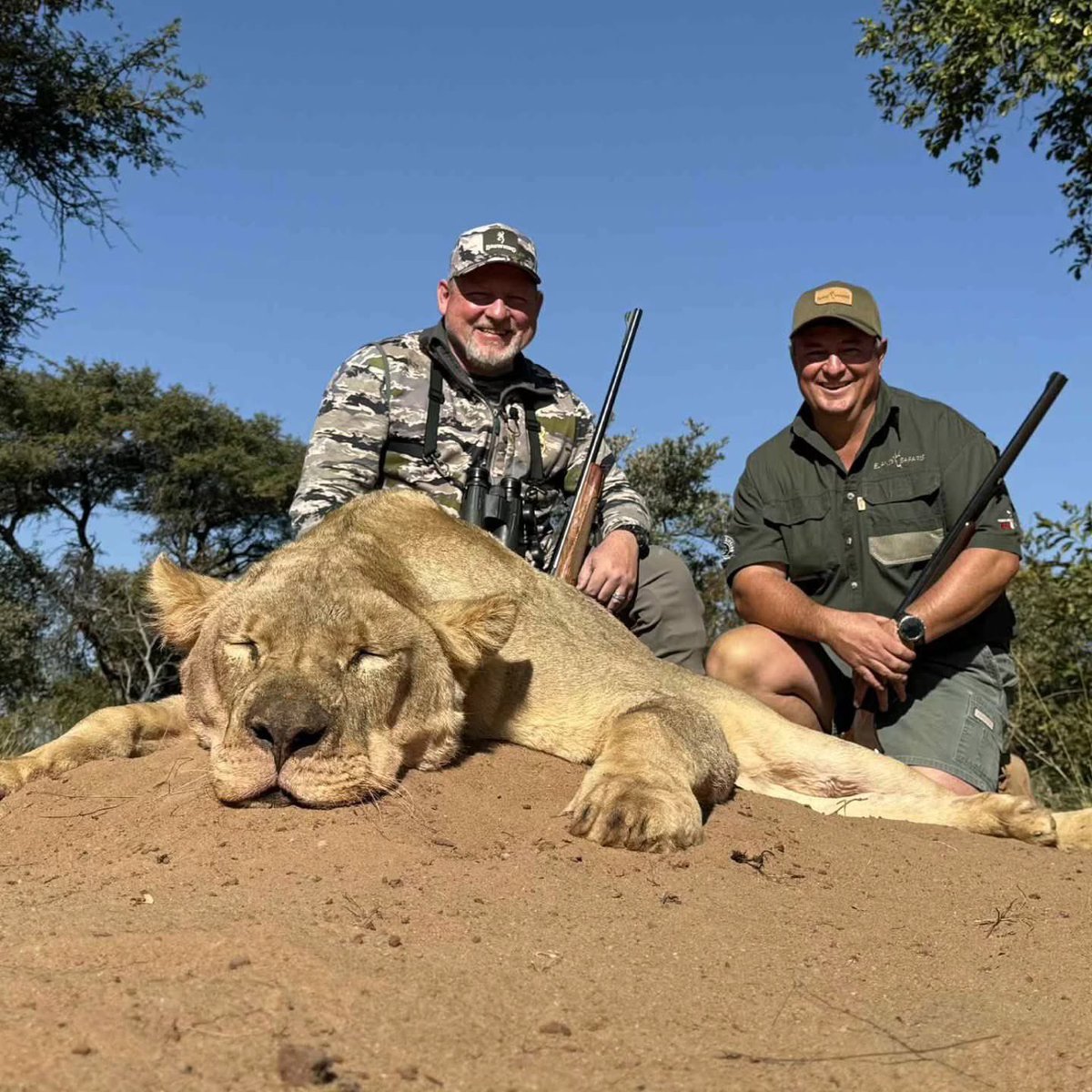 Firefighter Kills Lioness in South Africa: Demands 'Respect'!