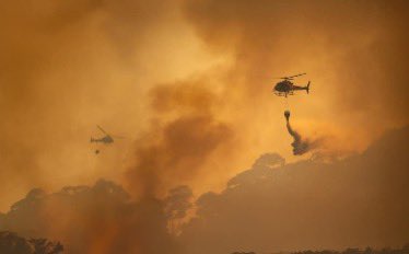Firefighters Ambushed: Wildfire Battle Turns Deadly with Shooter