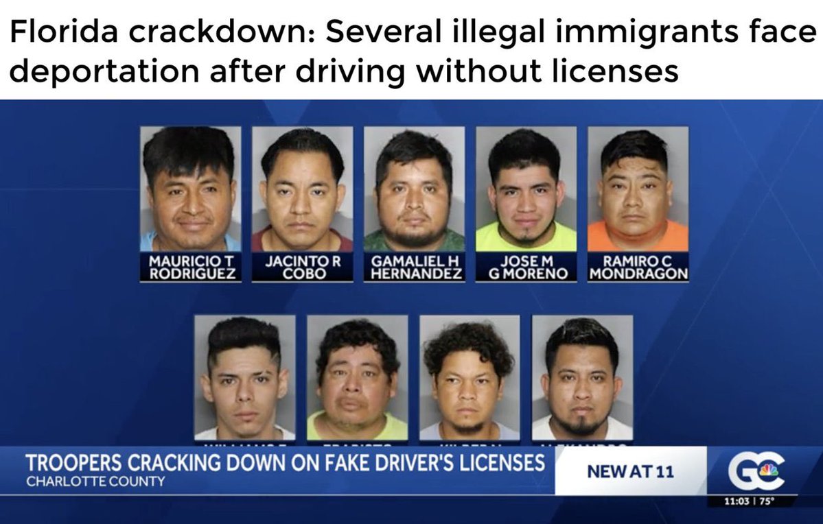 Florida's Illegal Immigrants Caught Driving: Deportation Chaos Erupts!