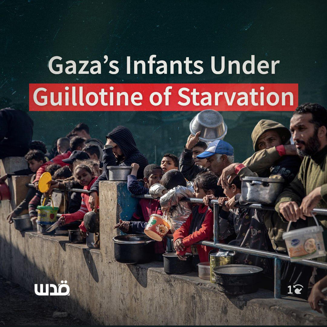 Gaza's Silent Crisis: 16,000 Children Dead, Milk Supplies Dwindling