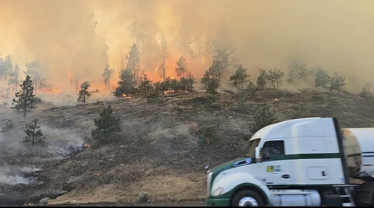 Grant Lake Fire Erupts in Skamania: 50+ Acres Engulfed!