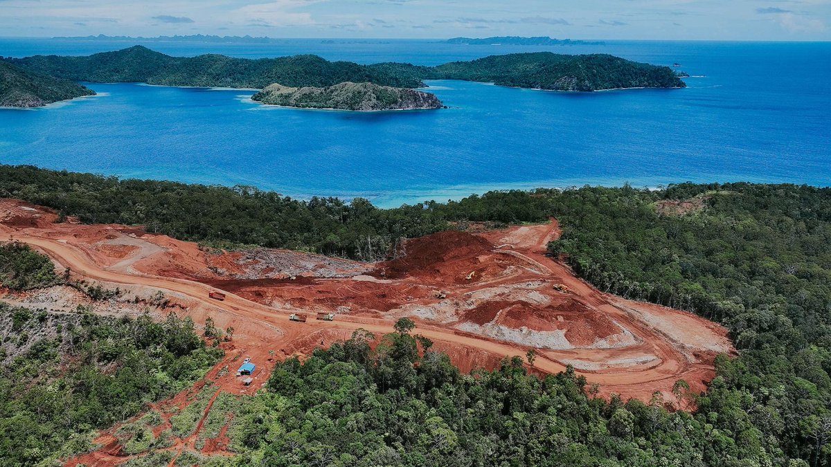 Greenpeace: Raja Ampat Islands Sold Off for Nickel Mining!