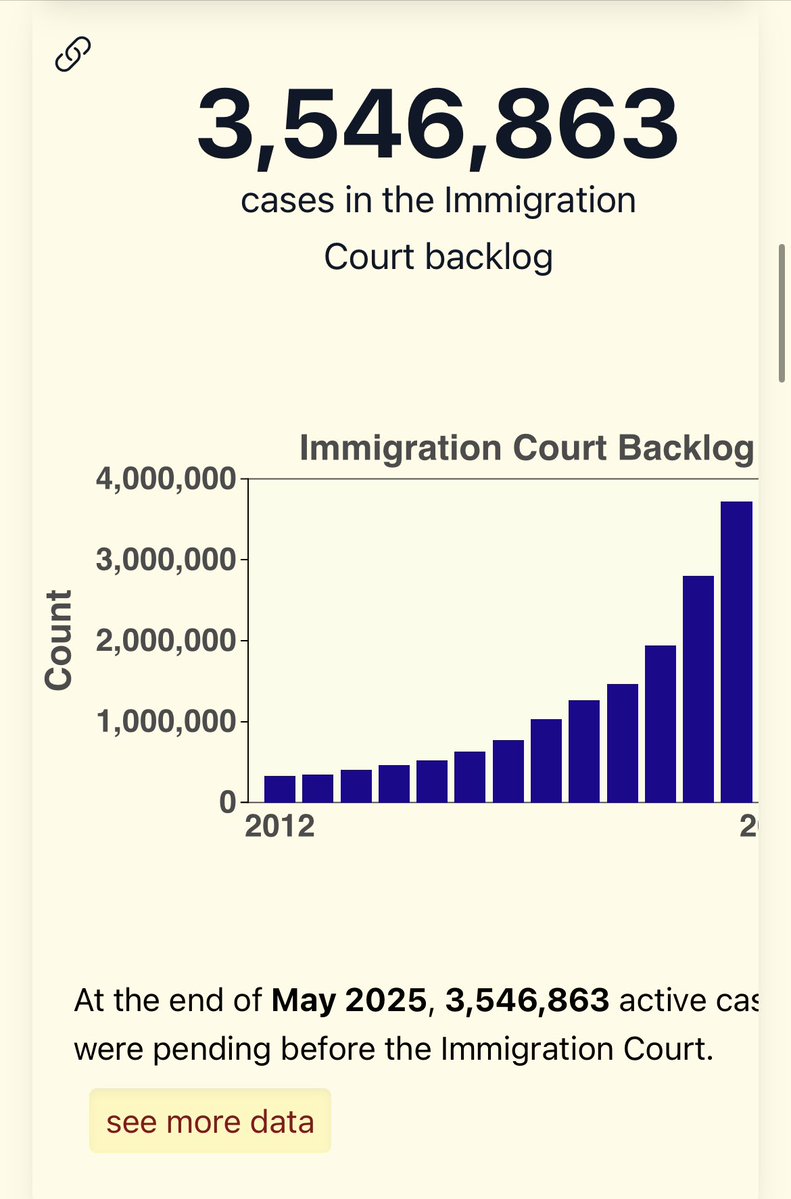 Immigration Crisis: 3.5M Cases Backlogged—Florida Leads!