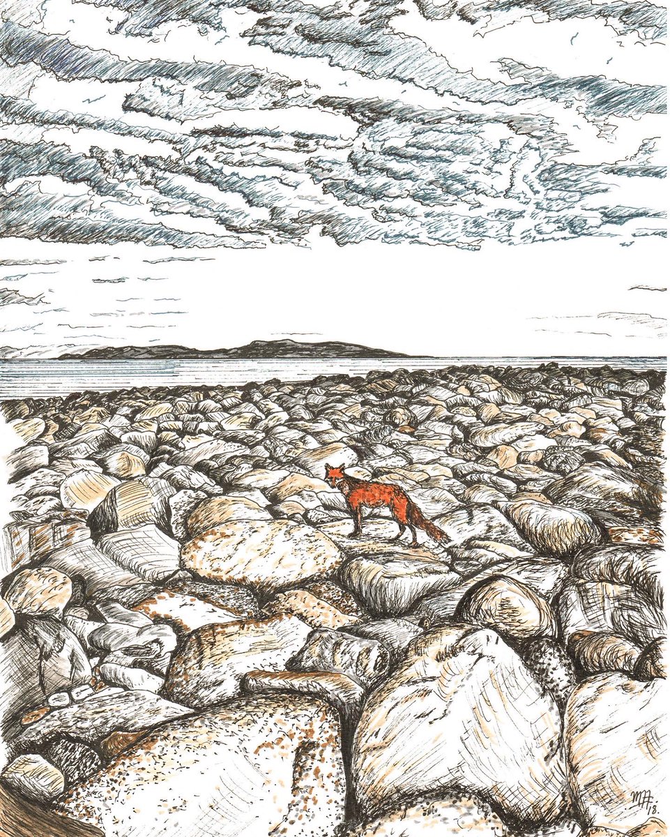 Inky Fox's Shocking Rocky Beach Adventure: A Pre-Lockdown Mystery!