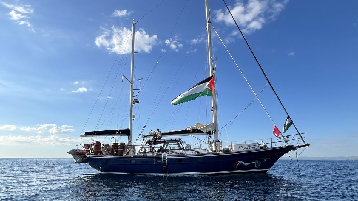 Israeli Navy Confronts Madleen Boat: UN Rapporteur Sparks Outrage