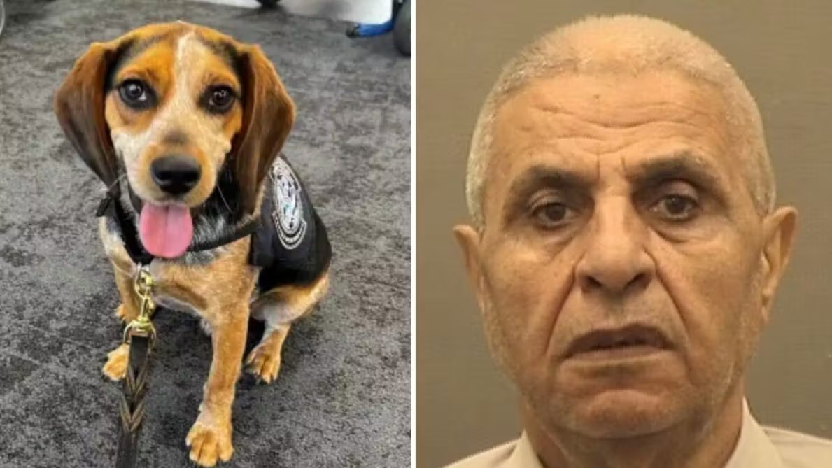 Man Kicks Dog After Busted with Prohibited Food at Dulles!