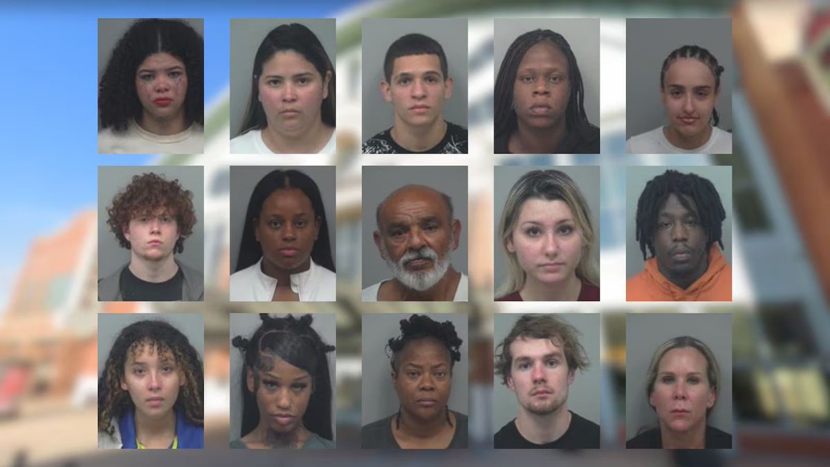 Mass Arrests at Mall of Georgia: Shoplifting Sting Shocks All!