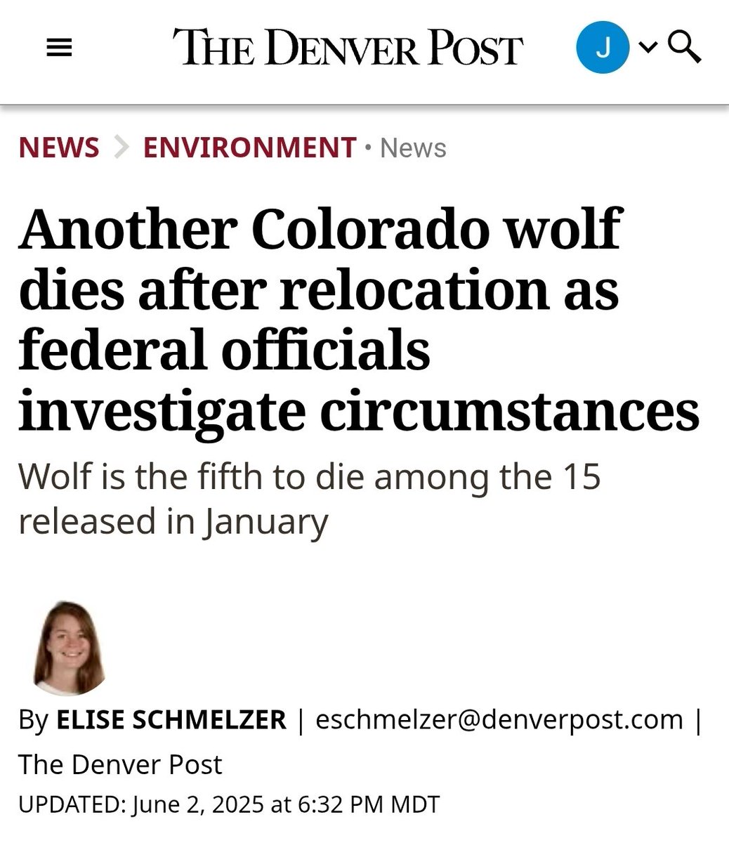 Millions for Wolf Relocation: A Deadly Vote for Colorado?