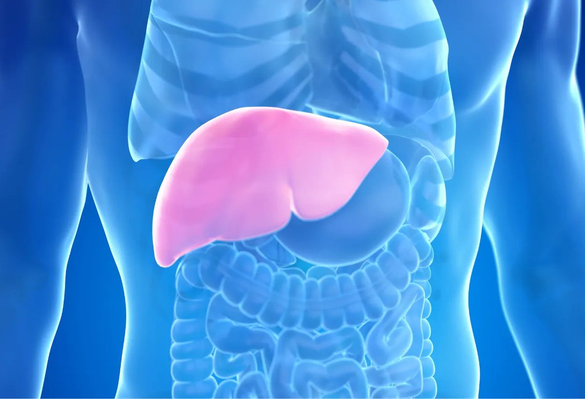 Miracle Cure? Terminal Cirrhosis Patients Thrive with DMSO & Aloe!