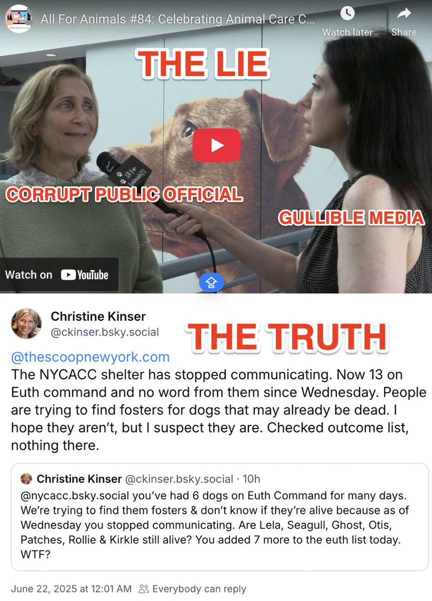 NY Politicians: Do Dead Dogs Matter More Than NYers?