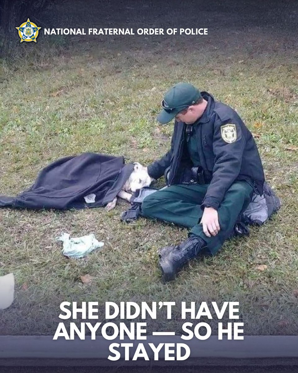 Officer's Shocking Act: Rescues Injured Dog in Controversial Way!