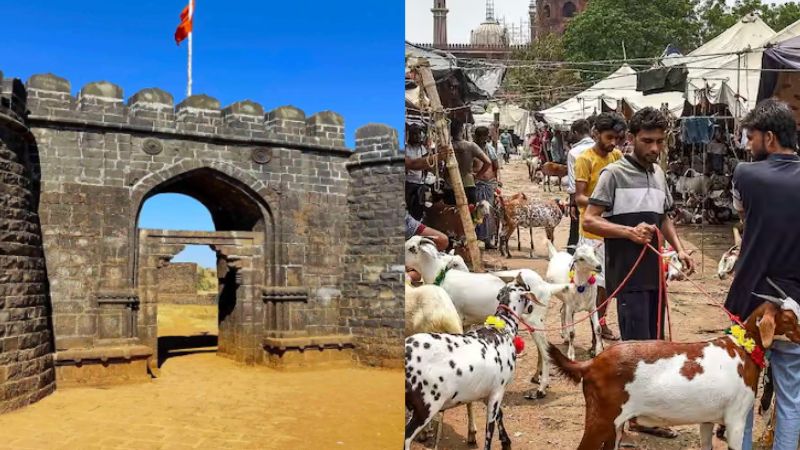 Outrage as Bombay HC Allows Animal Sacrifice at Historic Fort