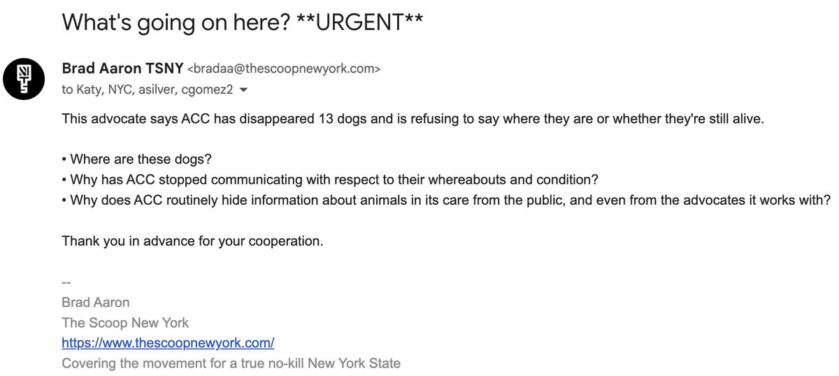Outrage as NYC Health Officials Go Silent on 13 Missing Dogs!