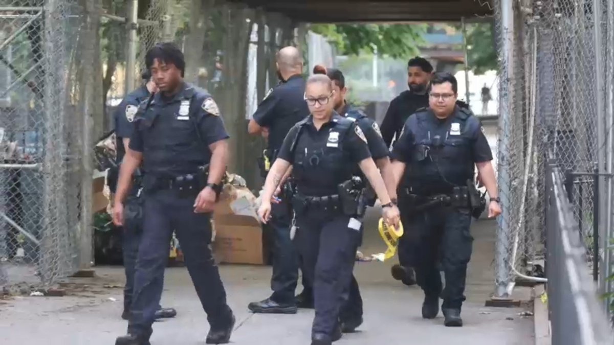 Police Hunt Suspect After 14-Year-Old Girl Shot in Bronx