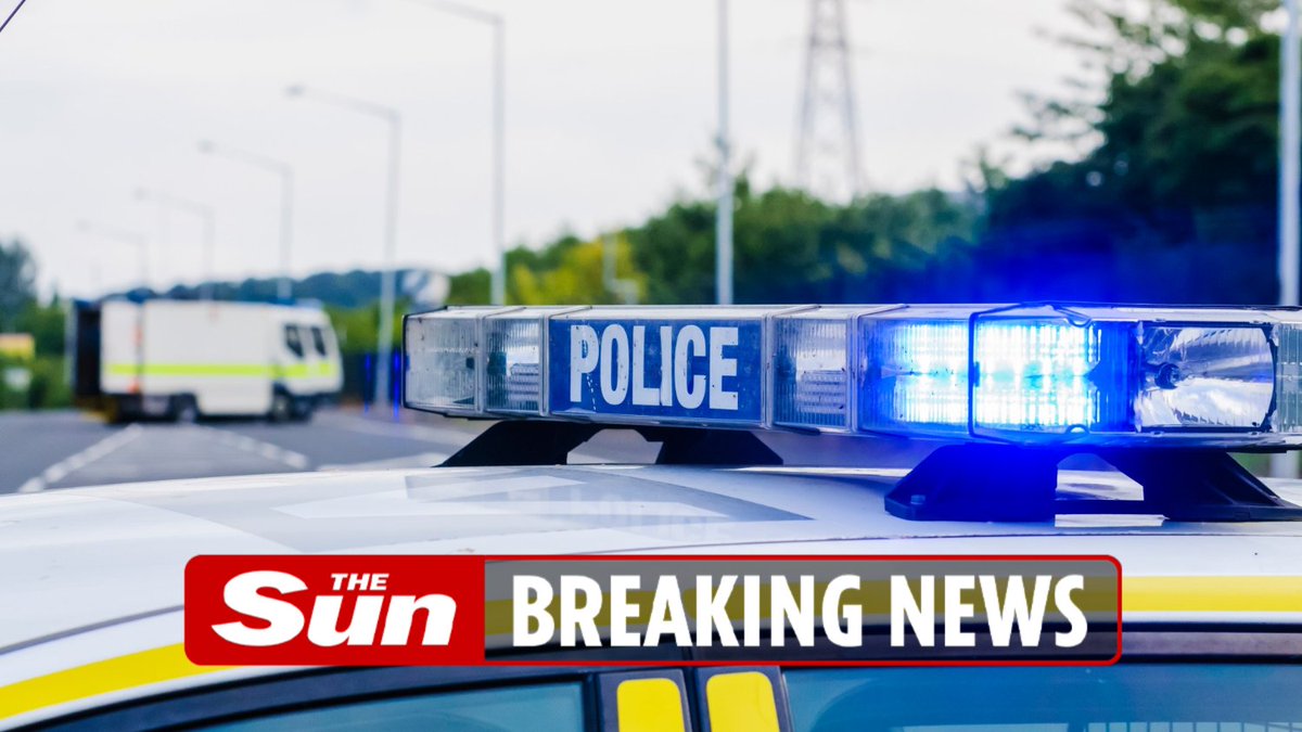 Primary School Lockdown: Knifeman on Loose, Armed Cops Everywhere!