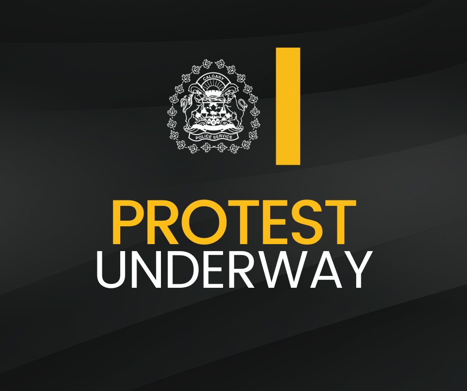 Protest Erupts Outside City Hall: Is Peaceful Demonstration Over?